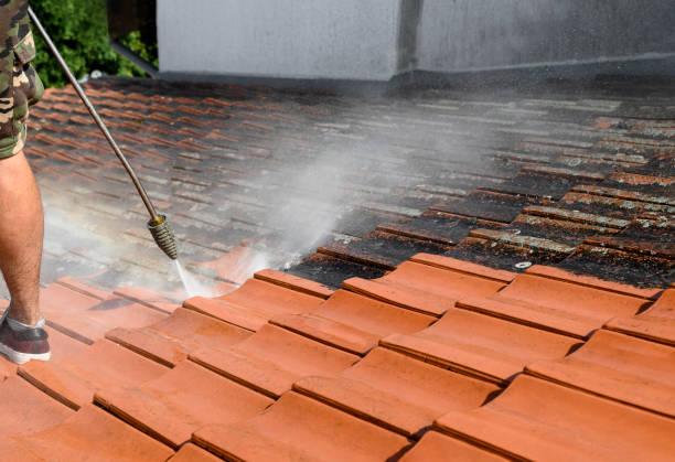 Best Roof Power Washing Services  in Mountainair, NM